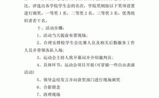 体育活动项目策划方案-体育活动项目书模板