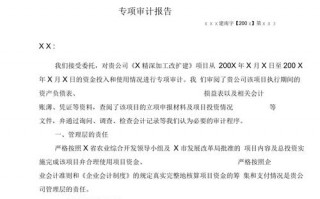  企业项目审计报告模板「企业项目审计重点内容」