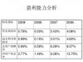 盈运能力分析模板（盈运能力分析模板ppt）