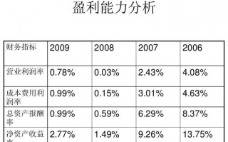 盈运能力分析模板（盈运能力分析模板ppt）