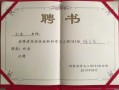 小学班主任聘任细则-中小学班主任聘书模板