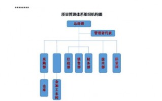 质量不架构图模板（质量组织架构图模板）