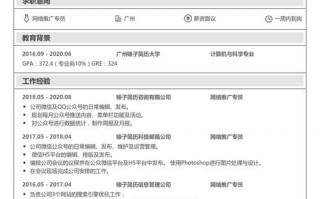  网络优化的简历模板「网络优化工作经历」