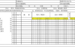 资金收支台账表格模板_资金台账表格范本