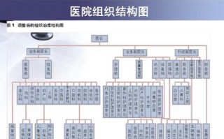 医院管理ppt模板_医院管理构架图