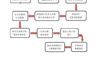 学校年度统计报表模板_学校统计工作流程图