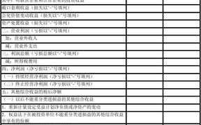 关于上市公司利润报表模板的信息