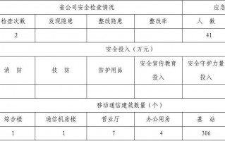 安全年度报告2020-安全年报模板