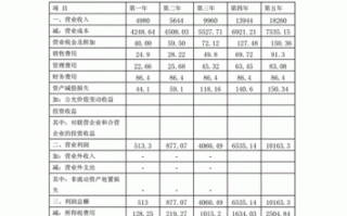 策划书财务计划模板,策划书财务计划模板图片 