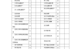 金融类财务报表 金融报表模板