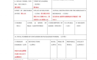 提单模板怎么填写内容