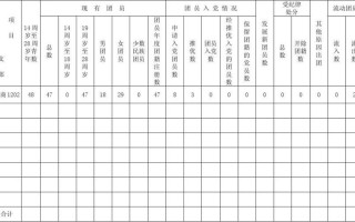 团员统计表模板 团员汇总表模板