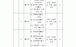 排球比赛训练计划 排球队队训练计划模板