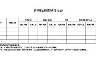 日核算报表模板,核酸报表 