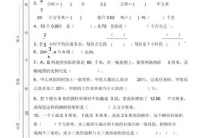 苏教版小学数学试题模板