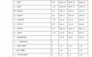 企业财务现状模板,企业财务状况分析范文 