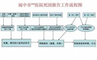 死因监测分析报告模板_死因监测报告流程图