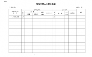  支付劳务费模板「支付劳务费用」