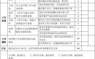 新员工试用期评价模板（新员工在试用期间的表现评价）