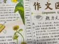 学科的手抄报 简单 简便