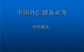 中国外汇方面的ppt模板_中国外汇产品