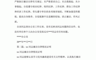 医务人员廉洁自律证明材料 卫生院廉洁证明模板