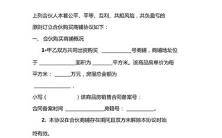 合伙买商铺协议书模板怎么写-合伙买商铺协议书模板