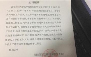 关于幼师实习手册模板的信息