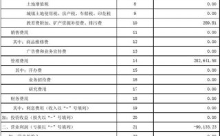 表税法利润表模板,纳税表利润 