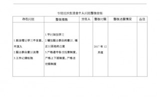 专题整改会记录模板,专题整改会记录模板内容吗 