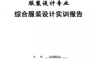 外观设计实训报告模板_外观设计 实用性