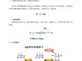 有机化学教学课件-有机化学基础教案模板