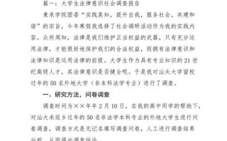  调查报告的摘要写模板「调查报告的摘要的例子,怎样写」