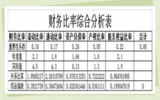  销售企业财务分析模板「销售业绩财务分析」