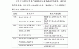 意见整改报告-意见整改模板