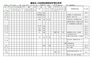  护士治疗模板「护理治疗单表格」