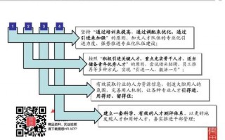 人力资源人员配置方案