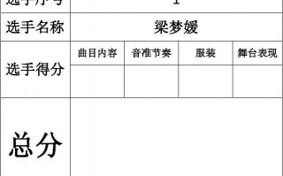 乐器节目评分表模板_乐器节目评分表模板怎么写