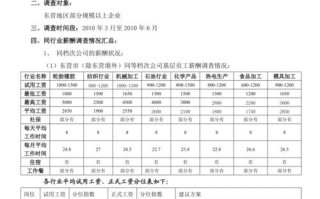  市场薪资调查模板「市场薪酬调查报告模板」