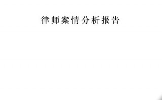 案情分析报告模板_案情分析报告模板合集