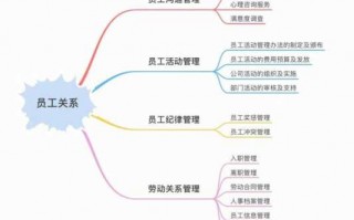 人员关系图模板（人员关系表怎么做）