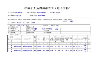 个人所得税扣缴明细表-扣缴个人所得税汇总报告表模板