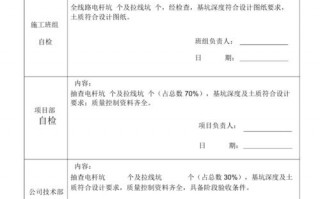 电力自检报告模板范文 电力自检报告模板