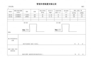 补偿装置记录模板