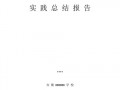  实践分析报告模板「实践报告分析总结」