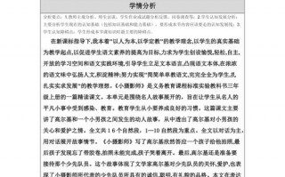  小摄影师教学模板「小摄影师教案」