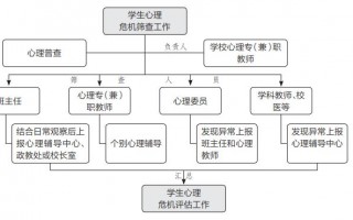 心理测评流程图