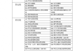 保险客户类型分类表格