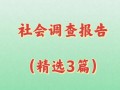 社会调查报告的模板（社会调查报告的模板ppt）