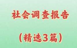 社会调查报告的模板（社会调查报告的模板ppt）